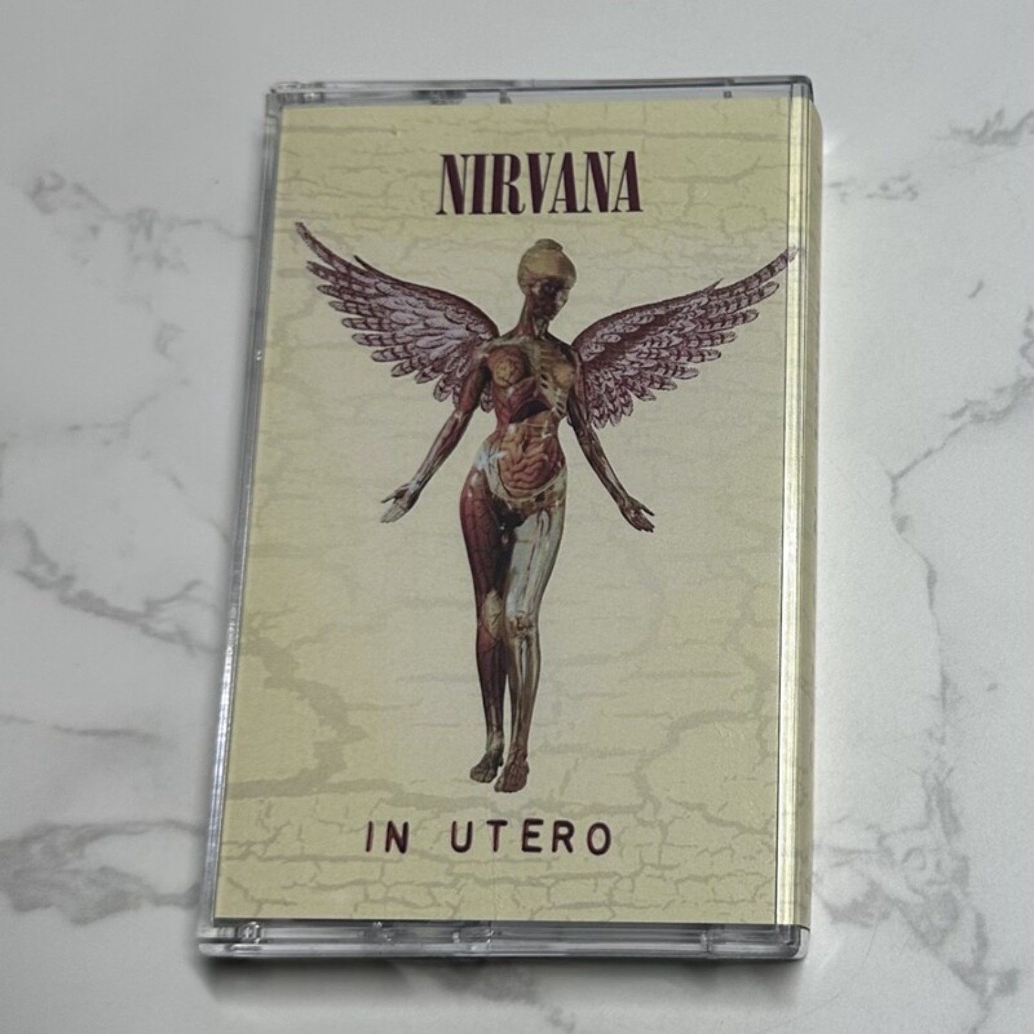 Koleksi Album Lengkap Kaset Ta - Vintage Collectibles & More Llc Photos ulasan dan harga